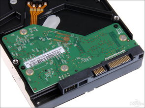 專業監控盤WD10EURX綠盤 硬件維護的性價比之選